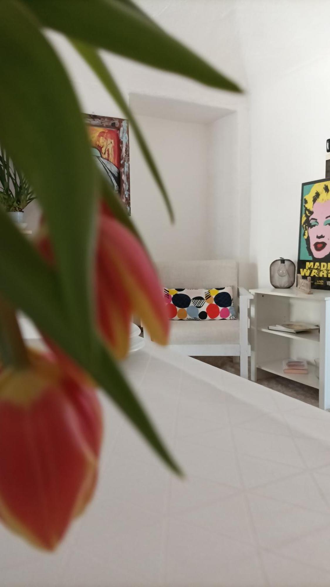 Quick Home - Interno 45 Biella Cameră foto